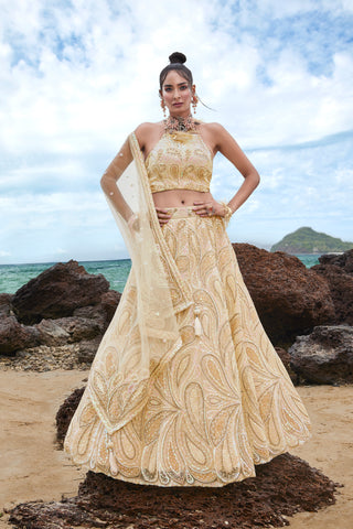 Cream Net Multi Sequins with heavy Zarkan embroidery Semi-Stitched Lehenga choli & Dupatta ClothsVilla