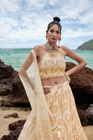 Cream Net Multi Sequins with heavy Zarkan embroidery Semi-Stitched Lehenga choli & Dupatta ClothsVilla