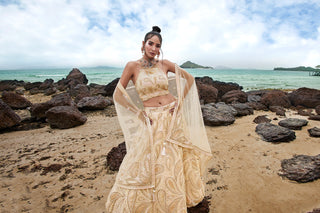 Cream Net Multi Sequins with heavy Zarkan embroidery Semi-Stitched Lehenga choli & Dupatta ClothsVilla
