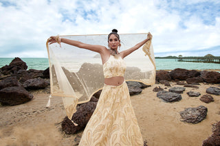Cream Net Multi Sequins with heavy Zarkan embroidery Semi-Stitched Lehenga choli & Dupatta ClothsVilla