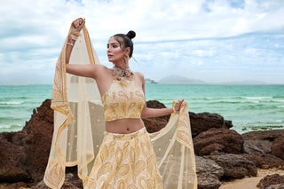 Cream Net Multi Sequins with heavy Zarkan embroidery Semi-Stitched Lehenga choli & Dupatta ClothsVilla
