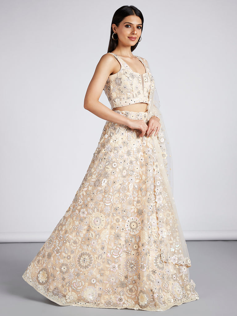 Cream Net Sequins, Mirror and thread embroidery Semi-Stitched Lehenga choli & Dupatta ClothsVilla