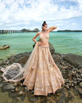 Cream Net Sequins, Zarkan and thread embroidery Semi-Stitched Lehenga choli & Dupatta Clothsvilla
