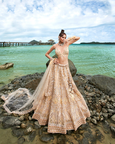 Cream Net Sequins, Zarkan and thread embroidery Semi-Stitched Lehenga choli & Dupatta Clothsvilla Main image