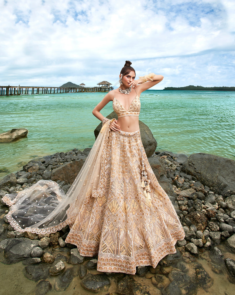 Cream Net Sequins, Zarkan and thread embroidery Semi-Stitched Lehenga choli & Dupatta Clothsvilla