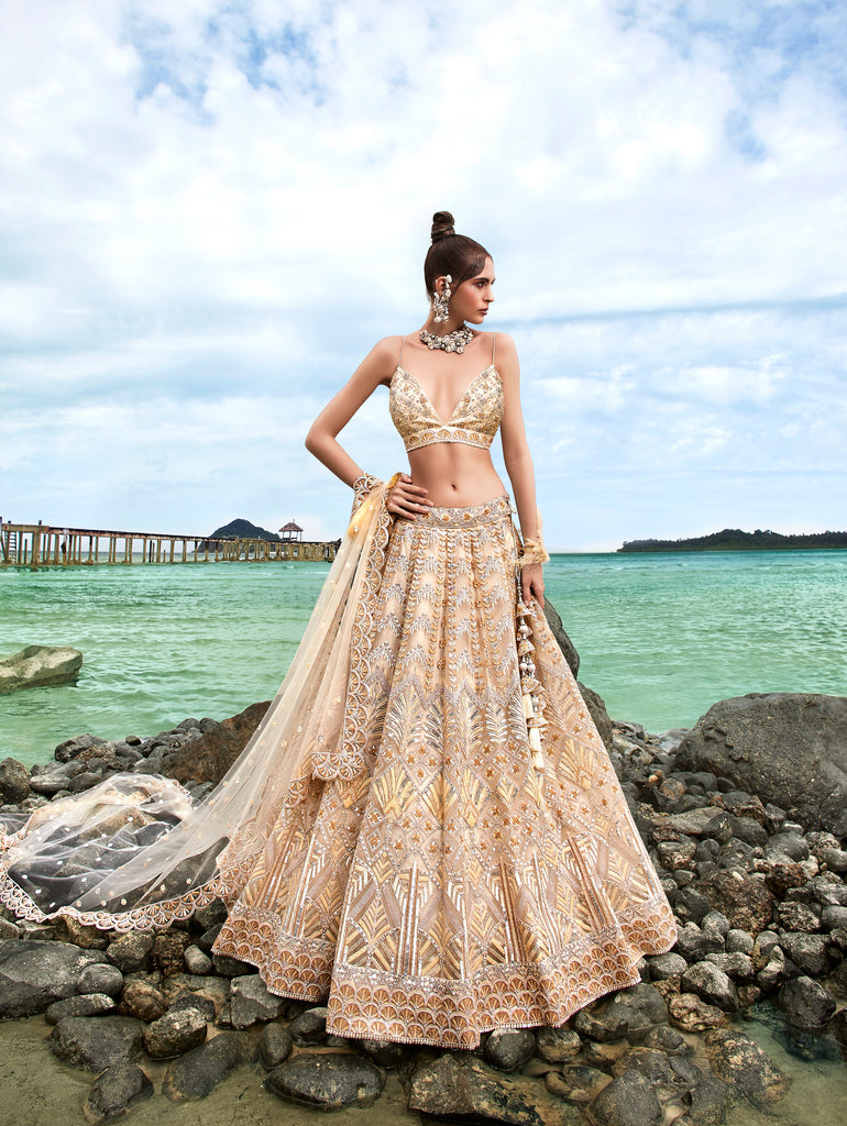 Cream Net Sequins, Zarkan and thread embroidery Semi-Stitched Lehenga choli & Dupatta Clothsvilla