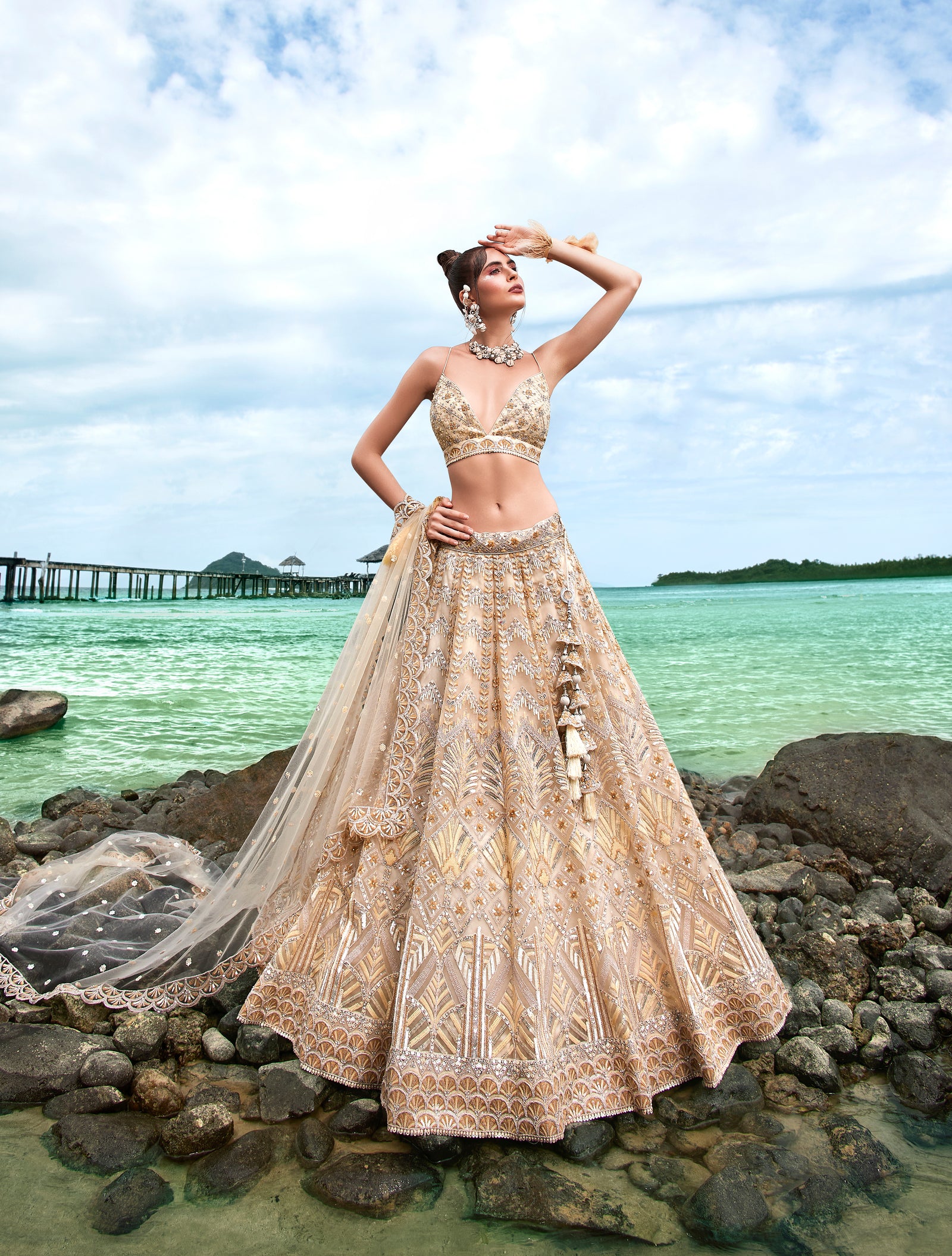 Cream Net Sequins, Zarkan and thread embroidery Semi-Stitched Lehenga choli & Dupatta Clothsvilla