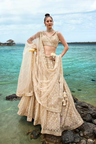 Cream Net Sequins, Zarkan and thread embroidery Semi-Stitched Lehenga choli & Dupatta ClothsVilla