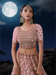 Load image into Gallery viewer, Dreamy Pink Lehenga Choli Set - Soft Net, Exquisite Embroidery ClothsVilla