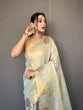 Load image into Gallery viewer, Dusty Blue Elegant Woven Tissue Silk Saree with Gold Accents Party &amp; Festive Wear ClothsVilla
