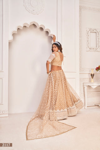 Dusty Chiqu Elegant Butterfly Net Lehenga Set Clothsvilla