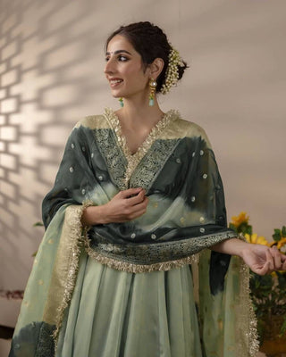 Elegant Designer Gown Set in Star Georgette with Digital Print Dupatta ClothsVilla