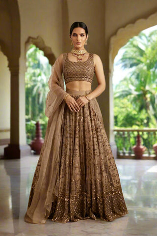 Exquisite Brown Net Lehenga Choli Set with Sequins and Jari Embroidery