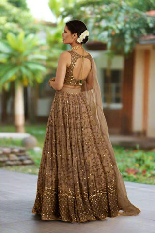 Exquisite Brown Net Lehenga Choli Set with Sequins and Jari Embroidery