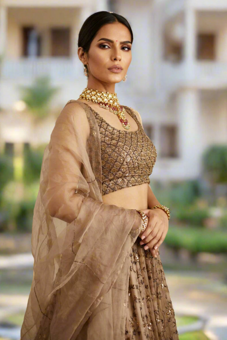 Exquisite Brown Net Lehenga Choli Set with Sequins and Jari Embroidery