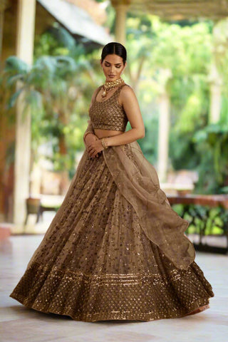 Exquisite Brown Net Lehenga Choli Set with Sequins and Jari Embroidery