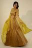 Gold Banarasi Zari Silk Lehenga Set with Sequins Georgette Dupatta ClothsVilla