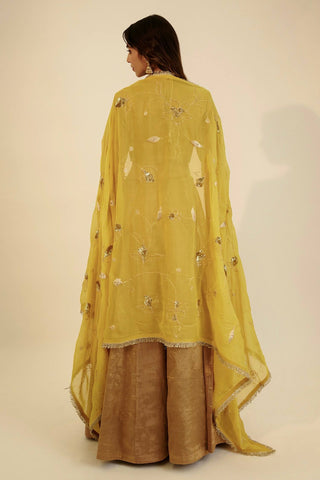 Gold Banarasi Zari Silk Lehenga Set with Sequins Georgette Dupatta ClothsVilla
