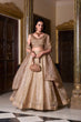Load image into Gallery viewer, Gold Crush Lehenga with Sequins Work ClothsVilla