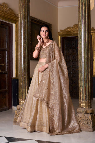 Gold Crush Lehenga with Sequins Work ClothsVilla