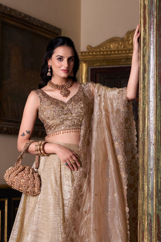 Gold Crush Lehenga with Sequins Work ClothsVilla