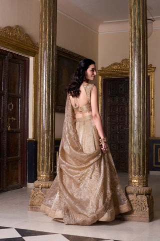 Gold Crush Lehenga with Sequins Work ClothsVilla