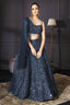 Gray Sparkle & Shine – Velvet Sequin Lehenga Set ClothsVilla