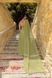 Load image into Gallery viewer, Green Flair Designer Lehenga Choli ClothsVilla