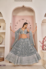 Load image into Gallery viewer, Grey Butterfly Net Lehenga with White Cotton Thread, Zari, and Sandwich Sequence Embroidery ClothsVilla