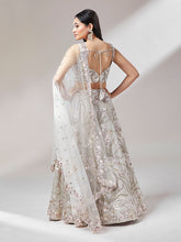 Load image into Gallery viewer, Grey Net Heavy Sequins Embroidery Semi-Stitched Lehenga choli Clothsvilla