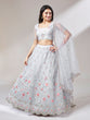 Load image into Gallery viewer, Grey Net Sequinse Work Semi-Stitched Lehenga &amp; Unstitched Blouse, Dupatta Clothsvilla