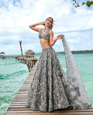 Grey Organza Sequins, Moti and thread embroidery Semi-Stitched Lehenga choli & Dupatta Clothsvilla