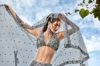 Grey Organza Sequins, Moti and thread embroidery Semi-Stitched Lehenga choli & Dupatta Clothsvilla