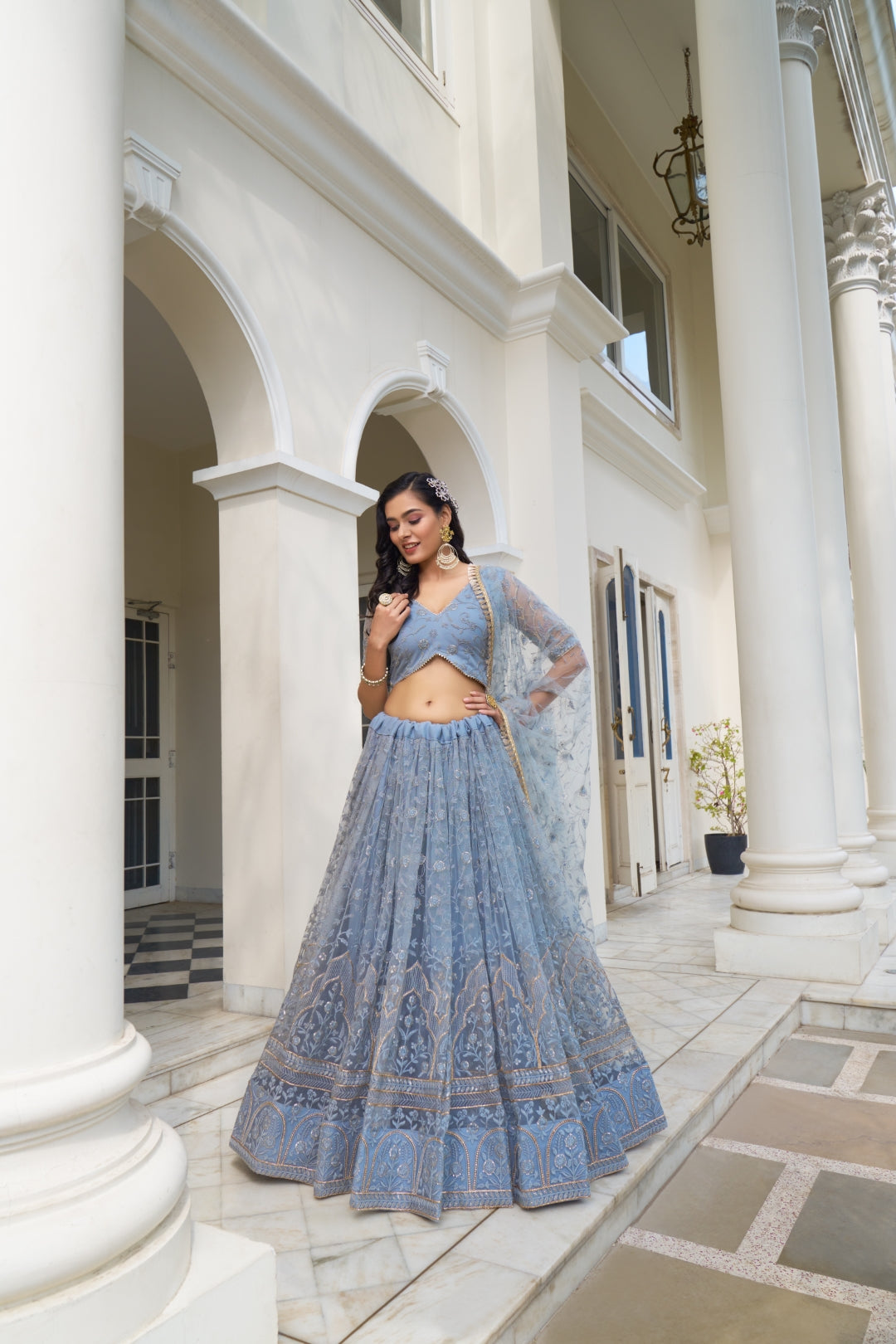 Light Blue Butterfly Net Lehenga with Tone-to-Tone Embroidery