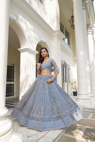 Light Blue Butterfly Net Lehenga with Tone-to-Tone Embroidery