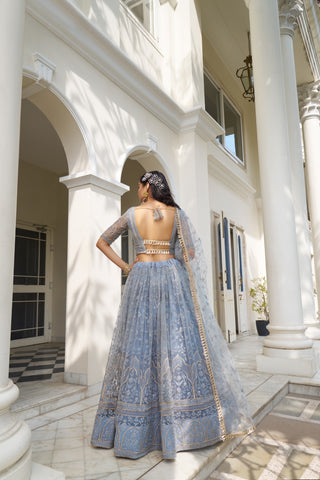 Light Blue Butterfly Net Lehenga with Tone-to-Tone Embroidery