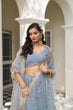 Load image into Gallery viewer, Light Blue Butterfly Net Lehenga with Tone-to-Tone Embroidery