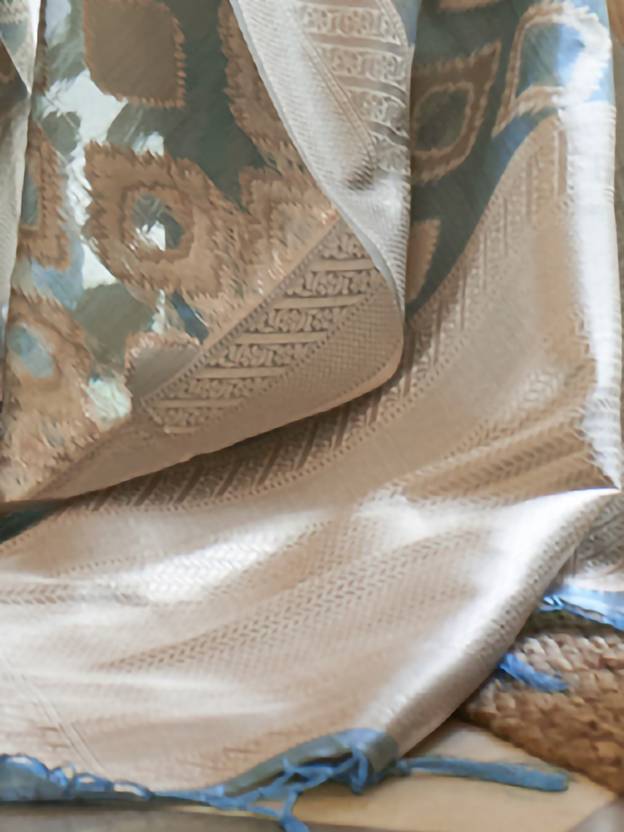 Light Blue Elegant Handloom Organza Woven Bollywood Saree with Unstitched Blouse Piece ClothsVilla