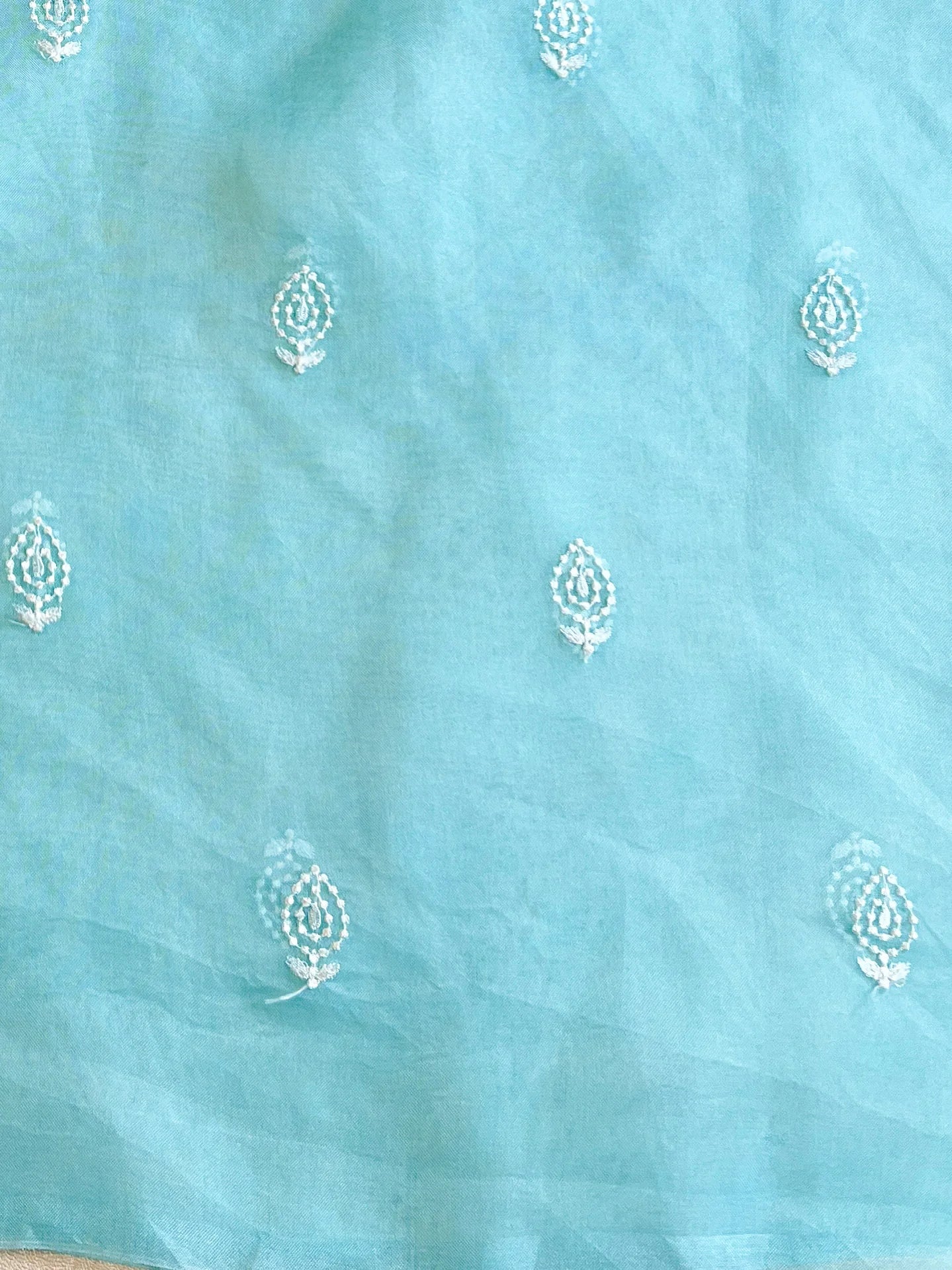 Light Blue Organza Silk Saree with Resham Floral Embroidery ClothsVilla