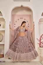 Load image into Gallery viewer, Light Brown Butterfly Net Lehenga with White Cotton Thread, Zari, and Sandwich Sequence Embroidery ClothsVilla