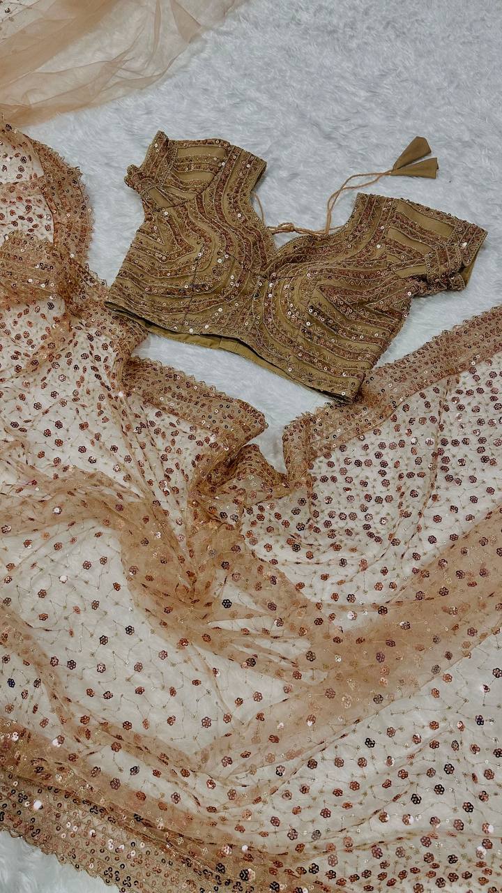Light Brown Glitter Glamour and Everything in Between  Mesmerizing Net Saree Set Clothsvilla