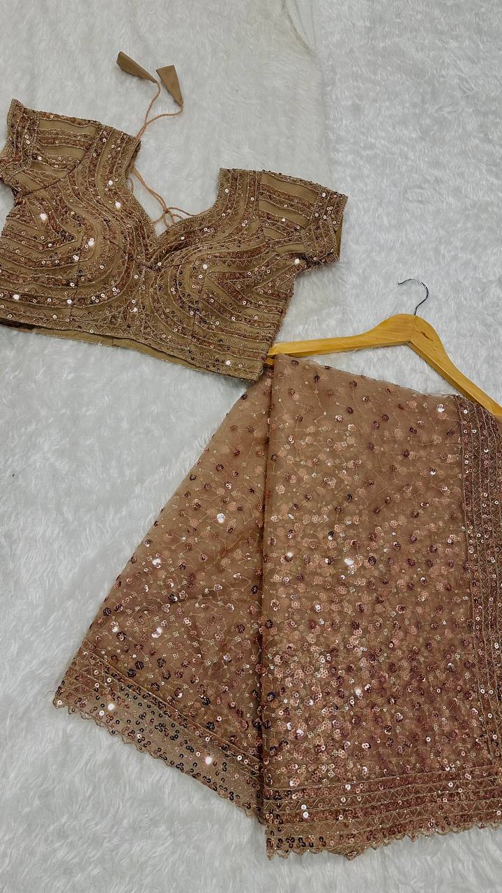 Light Brown Glitter Glamour and Everything in Between  Mesmerizing Net Saree Set Clothsvilla