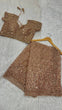 Load image into Gallery viewer, Light Brown Glitter Glamour and Everything in Between  Mesmerizing Net Saree Set Clothsvilla
