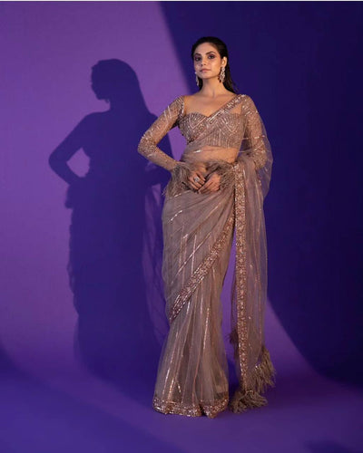 Light Brown Heart-Stealing Net Saree with Sequins, Dori & Zari Work Clothsvilla