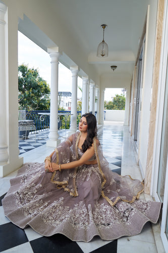 Light Dusty Brown Butterfly Net Lehenga with White Embroidery and Sequins