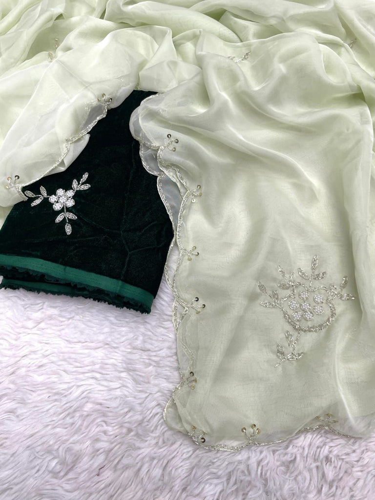 Light Green Soft Organza Saree with Exquisite Handwork & Velvet Silk Blouse ClothsVilla