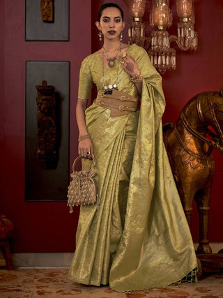Light Green Stylish Party Wear Saree with Unstitched Blouse Piece ClothsVilla