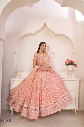 Light Pink Elegant Butterfly Net Lehenga with Intricate Embroidery ClothsVilla