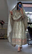 Load image into Gallery viewer, Light Pista Pure Sheesha Silk Gown ClothsVilla