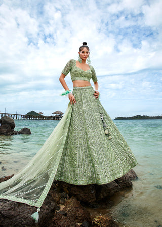 Lime Green Net Sequins, Zarkan and thread embroidery Semi-Stitched Lehenga choli & Dupatta ClothsVilla